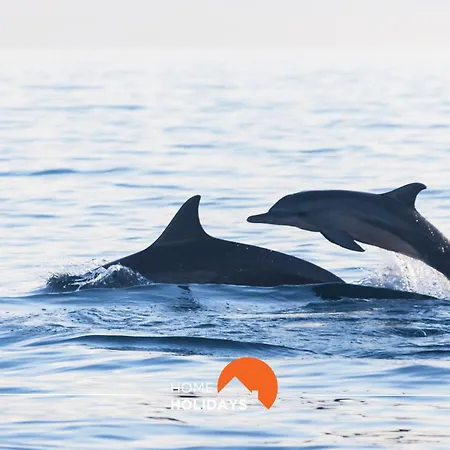 #008 T2 Tenis By Holidays Daire Albufeira